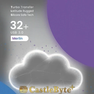 CastleByte+ Merlin