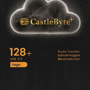 CastleByte+ Vega